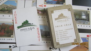 十师一八五团金三河旅行社推出创新旅游产品，开启多彩旅程新篇章