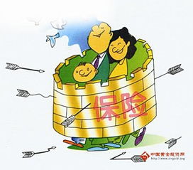 交通事故频发引发关注，旅游保险成出行必备